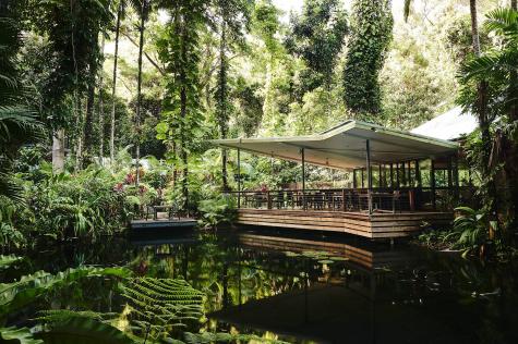 Hotel Exterior
 - Daintree Ecolodge
