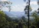 Bellthorpe Rainforest Tours
 - Maiala Rainforest Tour Brisbane Nature Tours