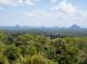 Bellthorpe Rainforest Tours
 - Maiala Rainforest Tour Brisbane Nature Tours