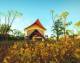  Accommodation, Hotels and Apartments - Bungle Bungle Wilderness Lodge