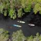 Kayak 1
 - Noosa Southern Everglades & Stingray Kayak tour By Earth and Ocean