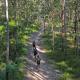 Biosphere Trail eMTB 2
 - Noosa Southern Everglades & Stingray Kayak tour By Earth and Ocean