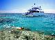 
 - Day Cruise to Great Barrier Reef - 2 Certified Dives Calypso Snorkel & Dive