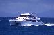 
 - Day Cruise to Great Barrier Reef - Snorkeller Calypso Snorkel & Dive