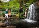 Botanic Gardens
 - Sunshine Coast Bites & Delights Coast to Hinterland Tours