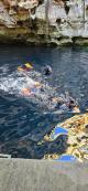 Snorkelling in the Kilsby Sinkhole
 - Coonawarra Unearthed - Full Day Wine Tour Coonawarra Experiences