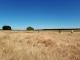 Caroline Hills Waterhole Walk
 - Coonawarra Unearthed - Full Day Wine Tour Coonawarra Experiences