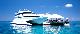 
 - Great Barrier Reef Adventure - ex Port of Airlie Cruise Whitsundays