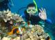 Diving
 - Get High Package - Snorkel - ex Jetty Down Under Cruise and Dive