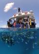 Boat  - Get High Package - Dive - ex Nthn Beaches Hotel Down Under Cruise and Dive