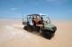Driving
 - Eco Beach Resort to Broome - Seat in Coach (One Way) Eco Beach Wilderness Retreat