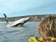 Whales on Dolphin Kayak Tour  - Private National Park Wildlife & Beach 4x4 Day tour Noosa Epic Ocean Adventures Noosa