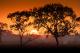 NT Sunrise
 - 1 Day Northern Kakadu Experience Ethical Adventures