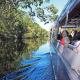 Cruising through the river of mirrors
 - Serenity Tour Everglades Eco Safaris