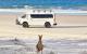 Bribie Island 
 - Bribie Island 4WD Kayak, Beach & Bunker tour G'Day Adventure Tours