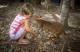 Animals
 - Reptastic 5 -  incl transfers from Cairns/Cairns Northern Hartleys Crocodile Adventures