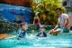 Outdoor Swimming Pool
- Hides Hotel Cairns