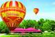 Gold Coast Tours, Cruises, Sightseeing and Touring - Classic Balloon  & Vineyard Breakfast ex GLD GC