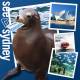 Sydney City Centre Attractions and Theme Parks Tickets - Sydney Flexi Pass 5 Attractions