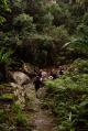 Brisbane Tours, Cruises, Sightseeing and Touring - Bush Tucker Walk in the Hinterland - ex Brisbane