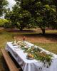 Gold Coast Tours, Cruises, Sightseeing and Touring - Northern Rivers Farm Gate Trail - ex Gold Coast