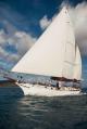 A true sailing experience
 - Hook Island Cultural & Snorkeling fringing reefs Lady Enid Sailing
