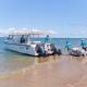 Island Ferry
 - Onslow to Mackerel Islands- Return Ferry Transfer Mackerel Islands