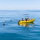 Plaka Hire Boat
 - Onslow to Mackerel Islands- Return Ferry Transfer Mackerel Islands