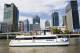 Brisbane City and Surrounds Tours, Cruises, Sightseeing and Touring - Koala Cruise - One Way River Cruise to Lone Pine Sanctuary