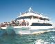 New South Wales Tours, Cruises, Sightseeing and Touring - Dolphin Discovery Cruise