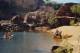 Katherine Region Tours, Cruises, Sightseeing and Touring - Malappar Traveller (Half Day Canoe) - Double Canoe