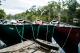 Canoes tied up
 - Everglades Explorer Everglades Eco Safaris