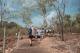 Guided Bushwalk LDT
 - Litchfield Day Tour - LDT Offroad Dreaming