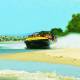 Beach
 - Jet Boat Express Ride Paradise Jetboating