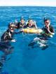 Cairns/Tropical Nth Tours, Cruises, Sightseeing and Touring - 1 Day Outer Reef Experience ex CNS