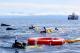 Guided Snorkel Tours
 - Pure Snorkeling Half Day Great Barrier Reef Trip Pure Snorkelling