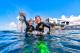 Lots of fun at the reef!
 - Cruise - ex Cairns Reef Magic Cruises