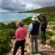 Interpretive walk
 - Wine & Sights Discovery Tour South West Eco Discoveries