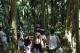 Guided rainforest walk
 - Kangaroos and Mountain Views Southern Cross Tours
