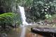 Waterfall
 - Springbrook, Natural Bridge & Purlingbrook Falls Tour - NB Southern Cross Tours