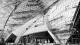 Architectural Tour
 - Sydney Opera House 1 Hour Private Exclusive Tour - English Sydney Opera House Trust