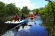  Tours, Cruises, Sightseeing and Touring - Remote Fraser Island Tour - Whale Season - RFIW