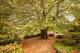 Gardens
 - Leura Gardens Resort