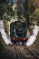 The wilderness surrounds you
 - Teepookana and the King - Heritage Carriage Strahan 10:00am West Coast Wilderness Rail