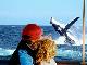 
 - Dolphin & Tangalooma Wrecks Cruise with Brisbane coach trsf See Moreton