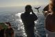 Humpback whales and sunset with Whalesong
 - Whale Watching Half Day - Afternoon + Sunset Cruise Whalesong Cruises Hervey Bay
