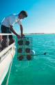 Broome Tours, Cruises, Sightseeing and Touring - Pearl Luggers Tour